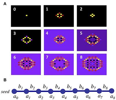 A Numerically Exact Approach to Quantum Impurity Problems in Realistic Lattice Geometries
